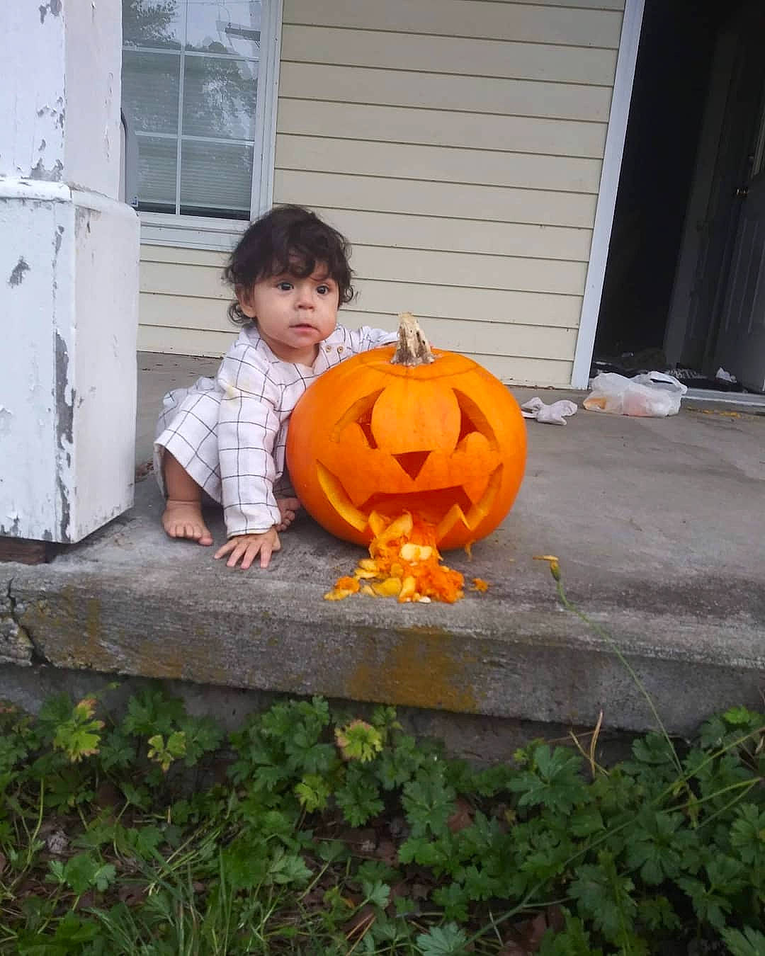Maribel is registered to the contest to win money with this photo: _and_melon_family, _gourd, art, calabaza, carving, child, cucumber, cucurbita, fruit, gourd, jack_o_lantern, orange, person, plant, pumpkin, smile, squash, trick_or_treat, vegetable, winter_squash