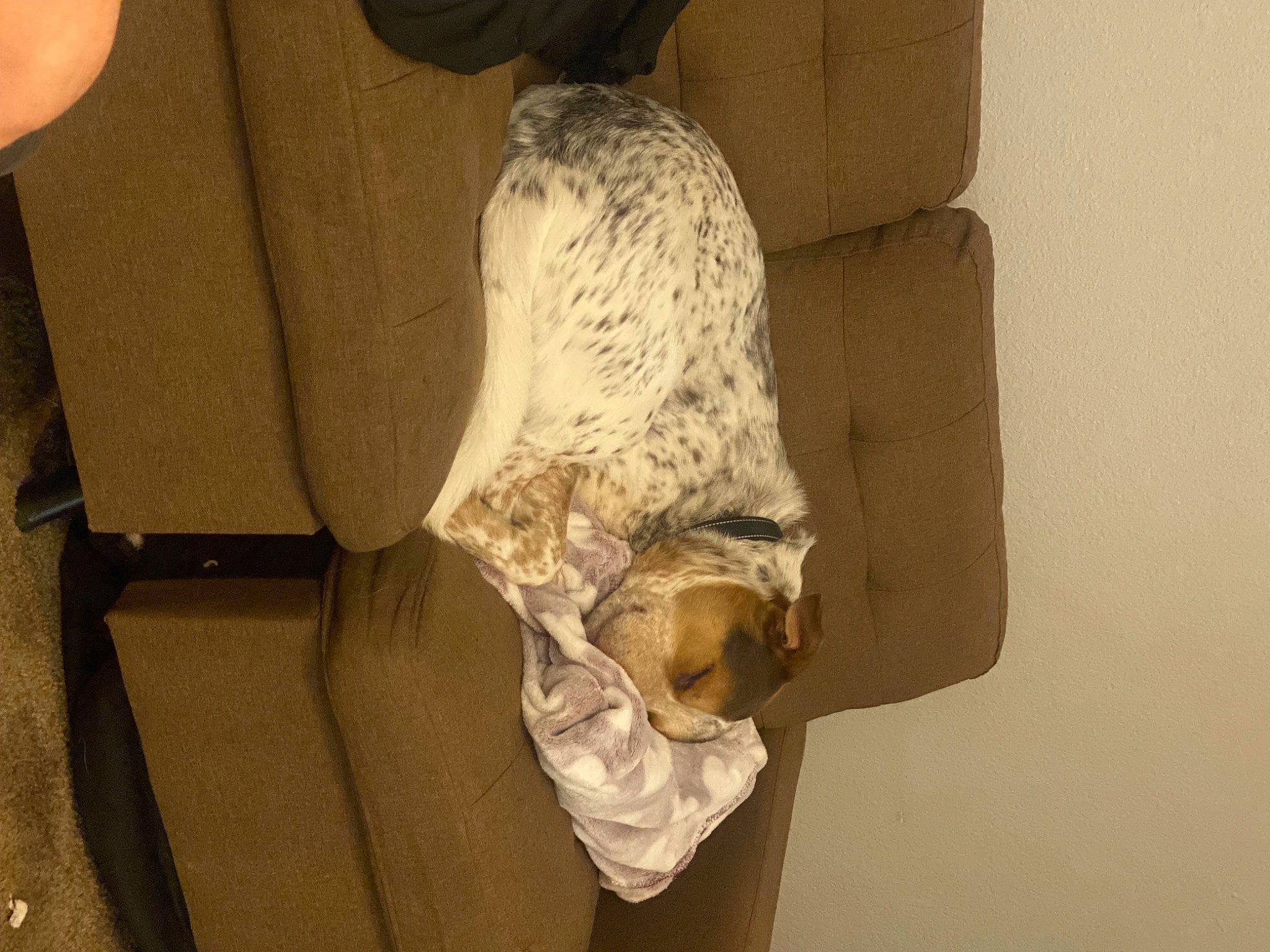 Fatboy joined the competition — help win amazing prizes! ancient_history, art, artifact, carving, creative_arts, fur, human_leg, jaw, plaster, rock, room, sculpture, statue, stone_carving, tourist_attraction, tree, visual_arts, wood