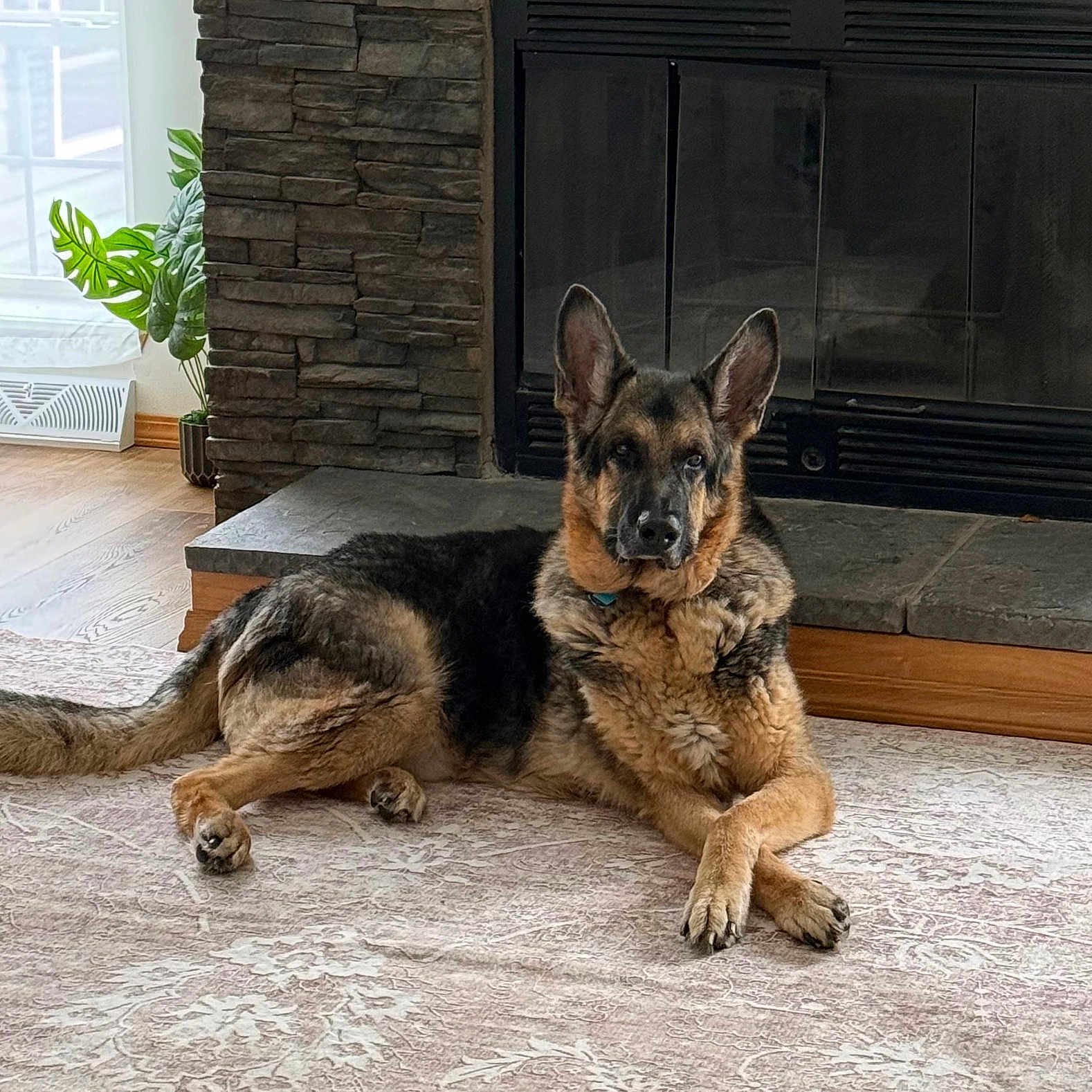 Sam