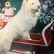 Sayko a rejoint le concours — aidez-le/la à gagner de superbes lots ! background, blue_eyes, canine, christmas_tree, decorations, dog, festive, fluffy, frosted_tree, fur, gift_boxes, holiday, holiday_decor, indoor, pet, sleigh, smiling, teddy_bear, white_dog, winter_theme