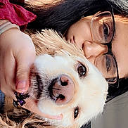 Kingsley is registered to the contest to win money with this photo: person, dog, glasses, close_up, nose, pet, car_interior, backseat, seatbelt, portrait, hand, long_hair, cuddling, smile, curly_fur, collar, ring, female, window, daylight