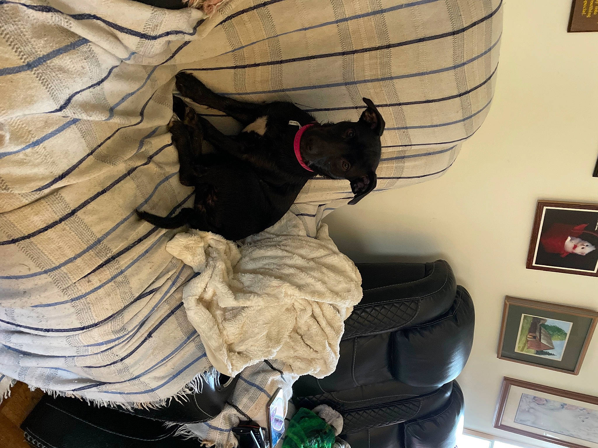 Sally is registered to the contest to win money with this photo: art, automotive_tire, carmine, carnivore, comfort, fashion_accessory, fictional_character, grey, hat, interior_design, living_room, metal, personal_protective_equipment, picture_frame, room, sculpture, statue, tree, wing, wood