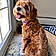 Millie
