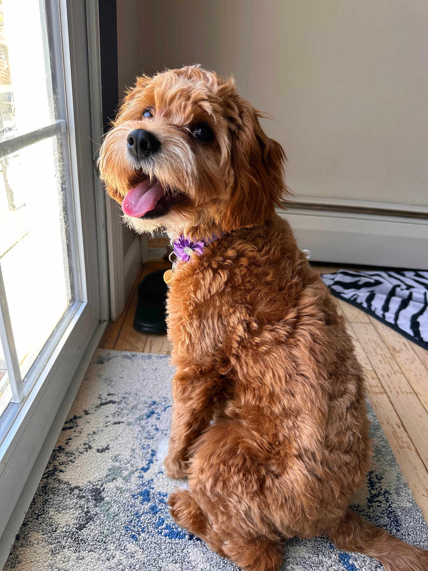 Millie
