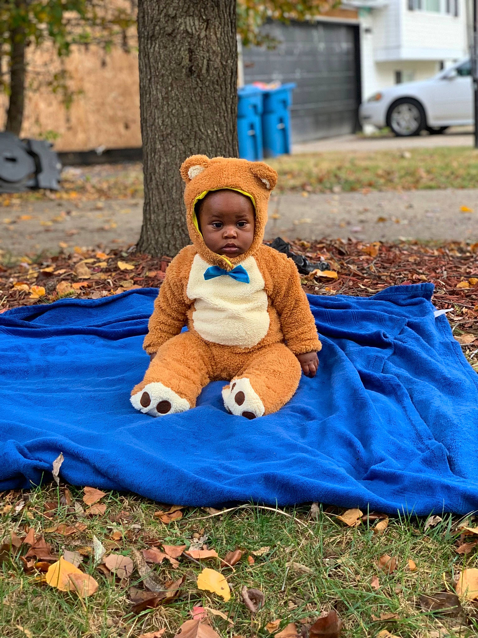 Daylen joined the competition — help win amazing prizes! autumn, baby, child, deciduous, fun, grass, happy, hat, jacket, leisure, people_in_nature, person, plant, recreation, sitting, soil, sun_hat, tire, toddler, tree