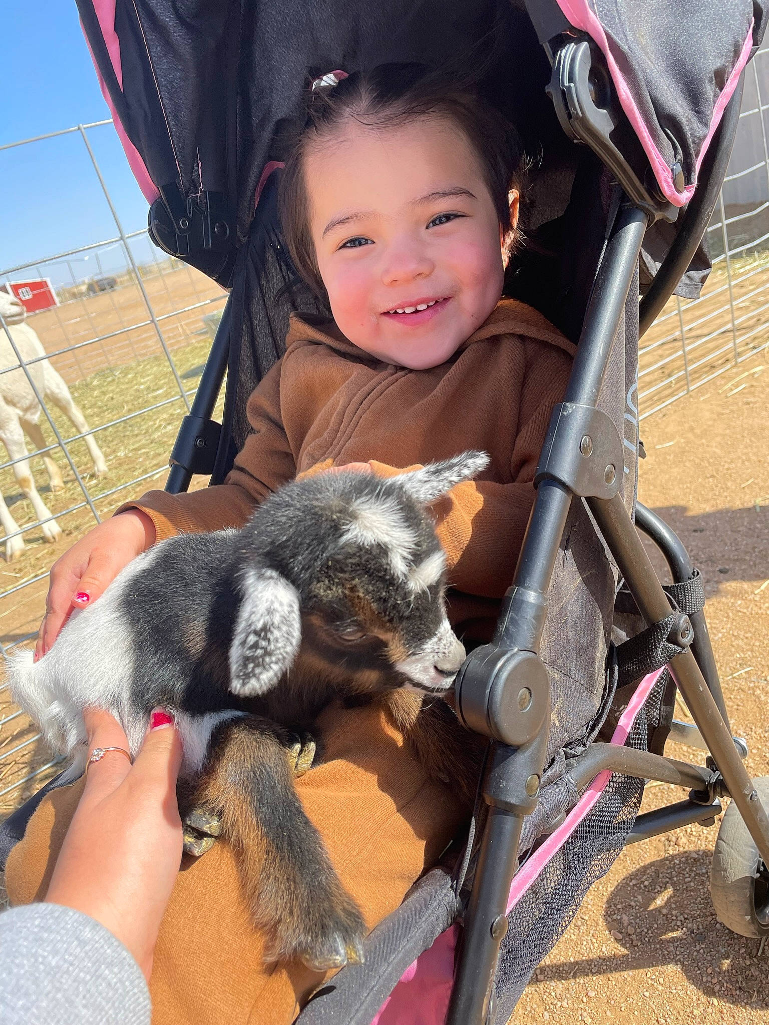 Maria joined the competition — help win amazing prizes! bicycle_tire, child, dog_breed, fawn, fun, goat, grass, hand, happy, joy, lap, leisure, mammal, person, product, skin, sky, smile, toddler, toy