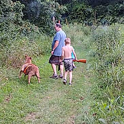 Bubba Jay is registered to the contest to win money with this photo: man, boy, dog, outdoor, grass, trees, path, nature, forest, walking, child, pet, summer, shirtless, toy, leash, canine, greenery, adventure, casual