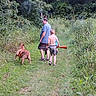 man, boy, dog, outdoor, grass, trees, path, nature, forest, walking, child, pet, summer, shirtless, toy, leash, canine, greenery, adventure, casual