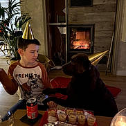 Looper a rejoint le concours — aidez-le/la à gagner de superbes lots ! birthday, boy, candle, celebration, child, dessert, dog, family, fireplace, food, indoor, labrador, living_room, party_hat, pet, plant, portrait, sitting, snacks, table