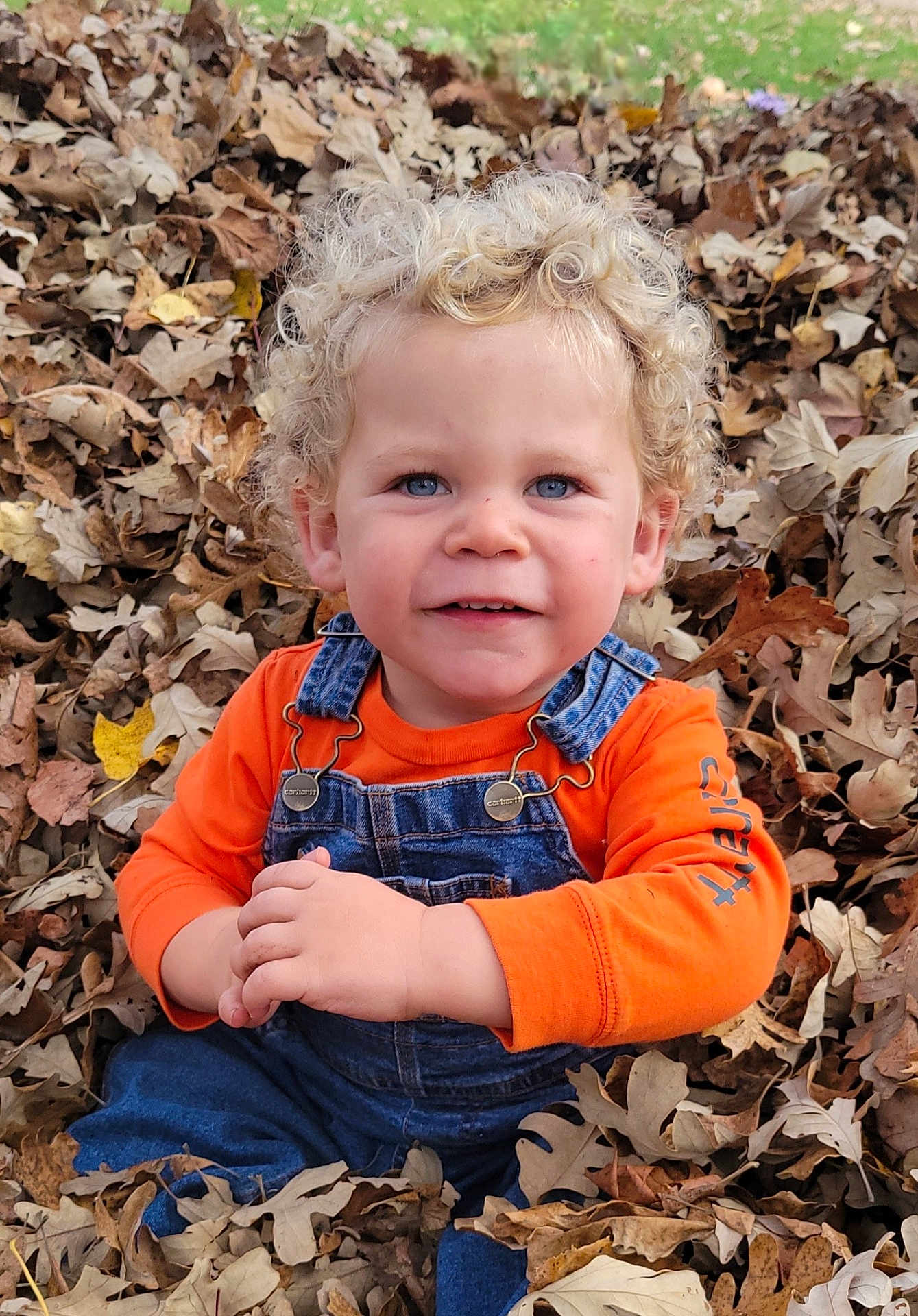 Preston joined the competition — help win amazing prizes! child, toddler, curly_hair, blue_eyes, autumn_leaves, orange_shirt, denim_overalls, outdoor, smiling, fall, nature, playful, cute, portrait, happy, seasonal, leaf_pile, baby, person, casual_clothing