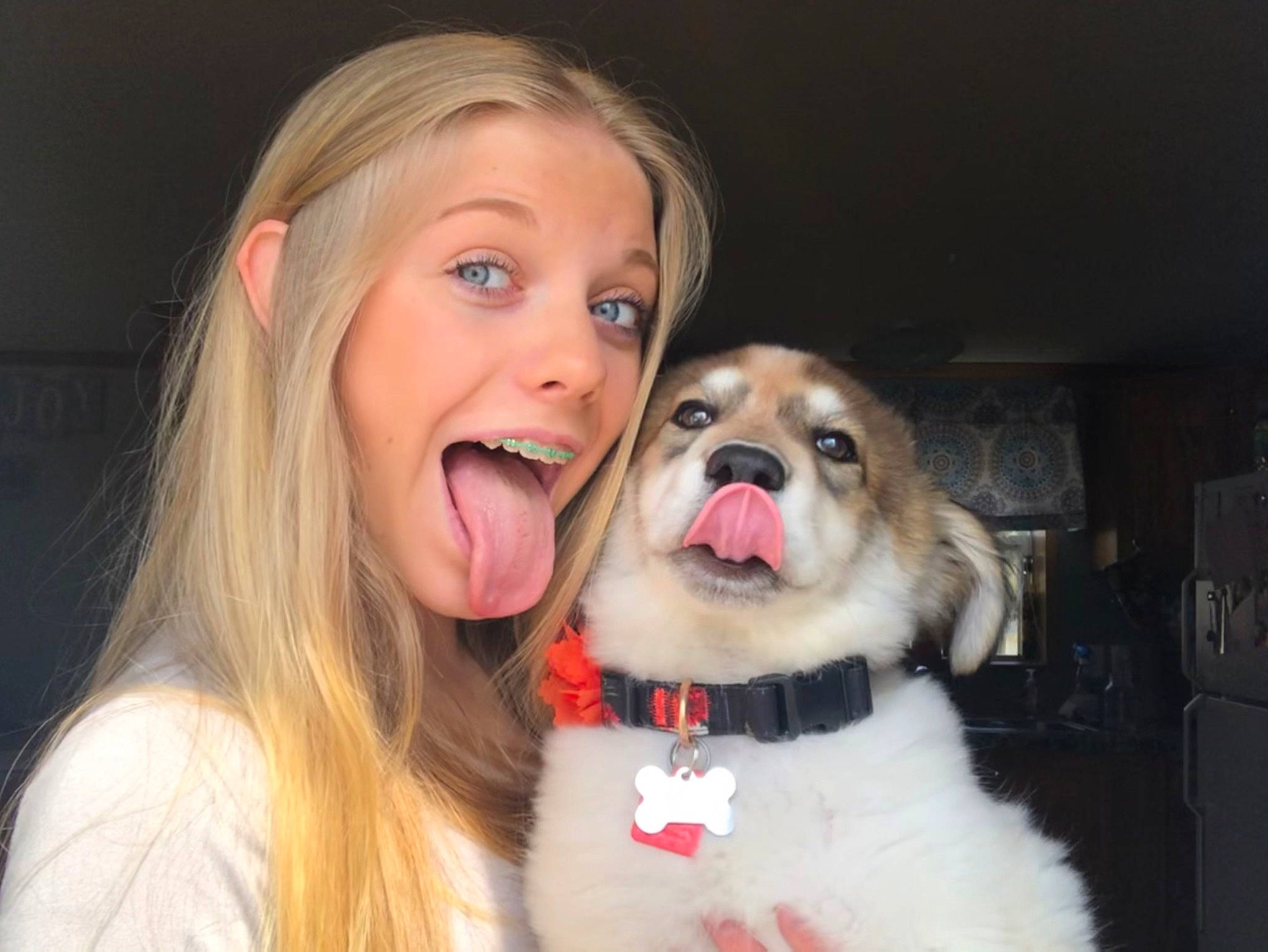 Finlea Hashbrown joined the competition — help win amazing prizes! canidae, carnivore, companion_dog, dog, dog_breed, eyewear, fawn, fun, fur, happy, iris, jaw, leash, nose, smile, snout, sporting_group, tongue, toy_dog, whiskers
