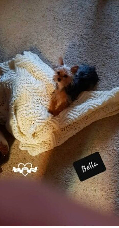 Bella