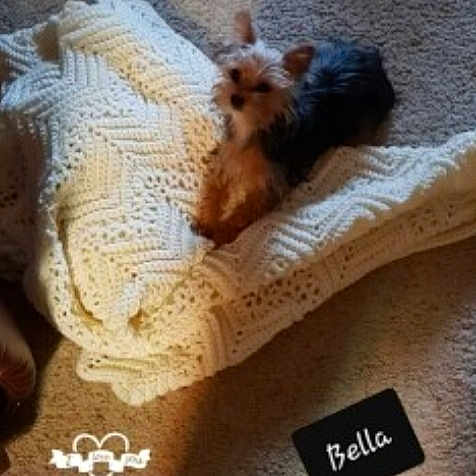 Bella