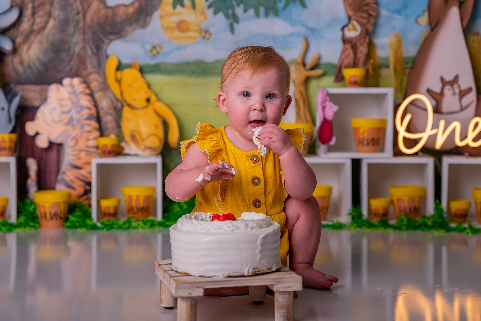 Abigail joined the competition — help win amazing prizes! baby, baked_goods, birthday_cake, cake, cake_decorating, cake_decorating_supply, child, event, food, fun, happy, leisure, orange, person, photograph, plant, sugar_cake, sugar_paste, surprise, table