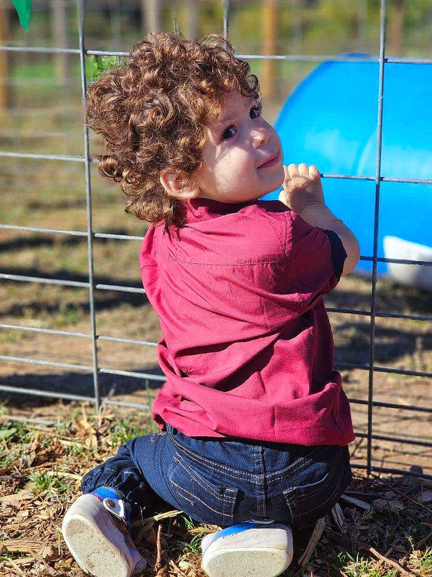 Karson is registered to the contest to win money with this photo: baby_toddler_clothing, child, fence, fun, grass, happy, leaf, leisure, magenta, people, people_in_nature, person, plant, recreation, sitting, smile, soil, spring, summer, t_shirt