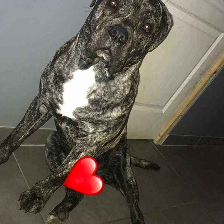 Paco