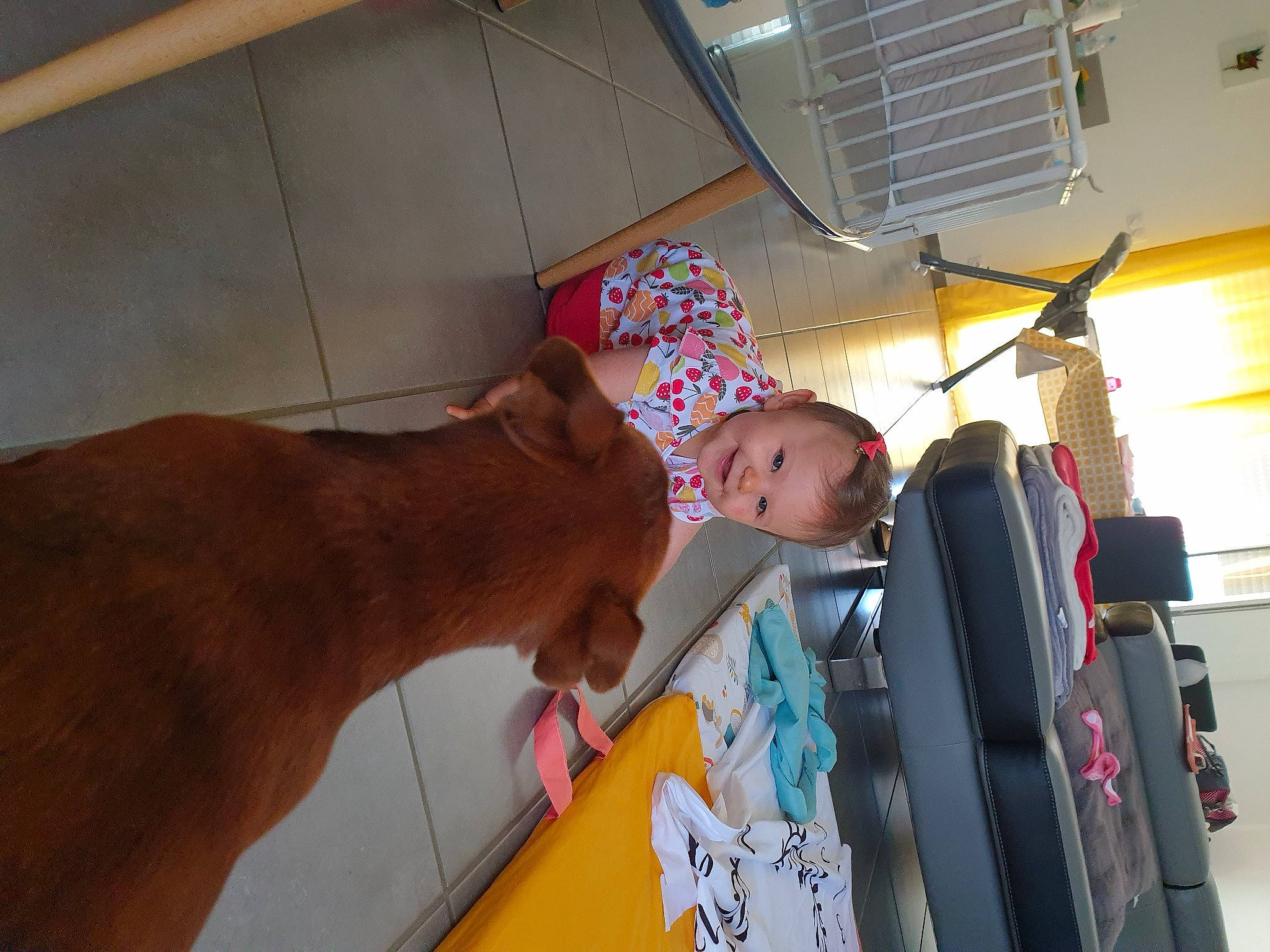 Célia a rejoint le concours — aidez-le/la à gagner de superbes lots ! fawn, joy, person