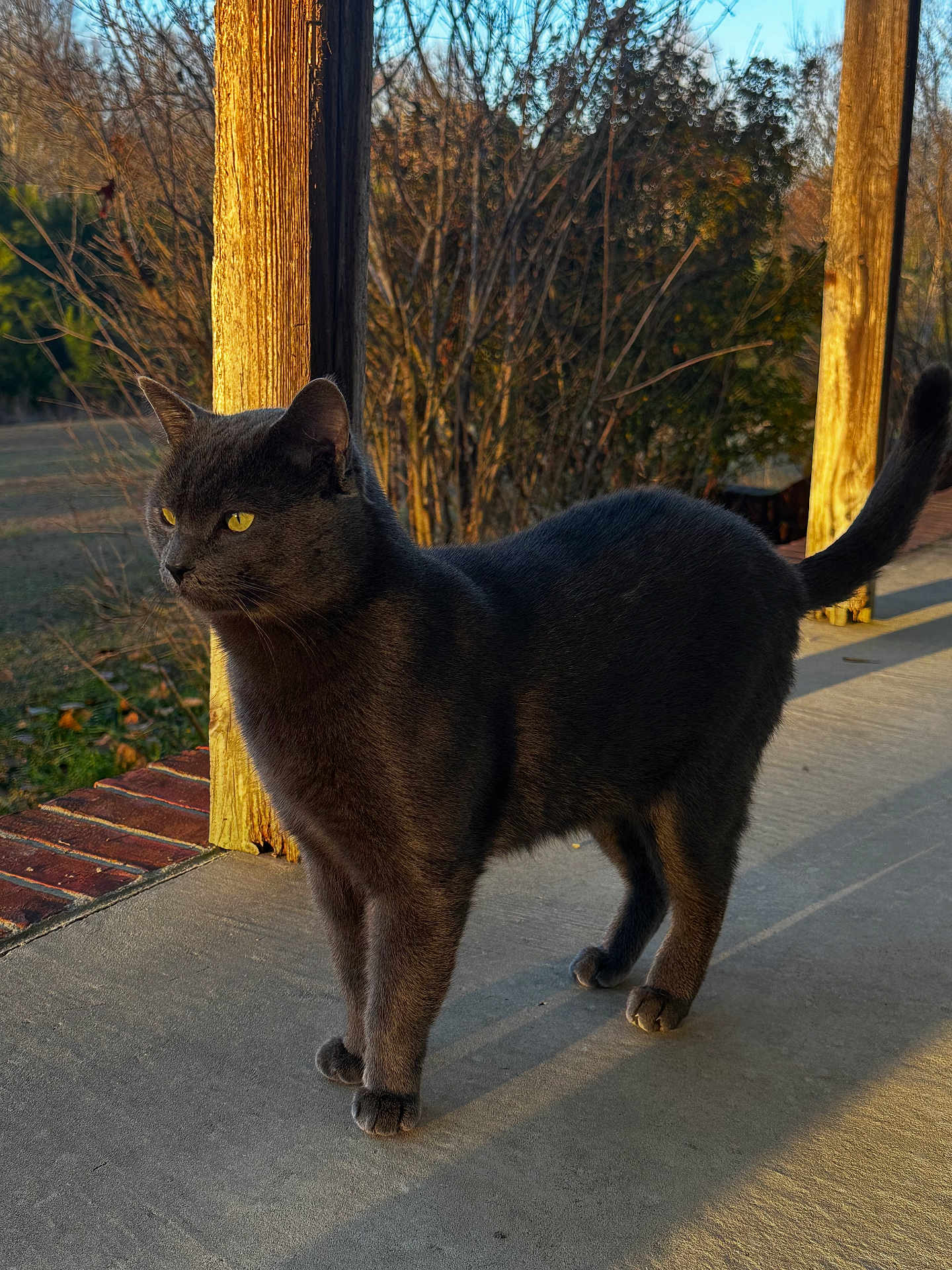 Oscar