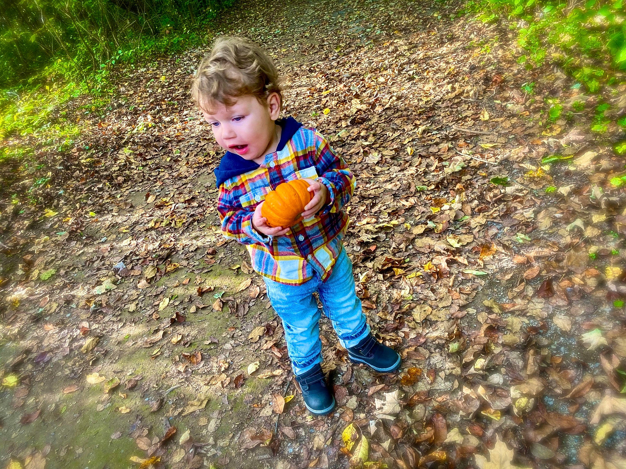Cayson joined the competition — help win amazing prizes! baby_toddler_clothing, ball, child, denim, electric_blue, footwear, forest, fun, grass, happy, landscape, leisure, people_in_nature, person, recreation, sitting, soil, toddler, tree, wood