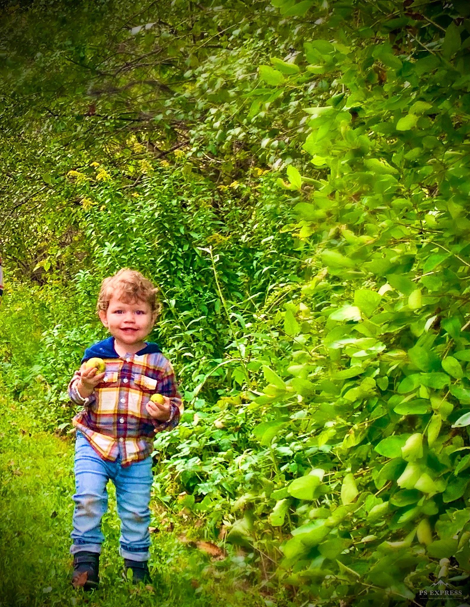 Cayson is registered to the contest to win money with this photo: botany, forest, garden, grass, grassland, green, groundcover, happy, joy, landscape, leaf, meadow, natural_landscape, people_in_nature, person, plant, shrub, smile, terrestrial_plant, toddler