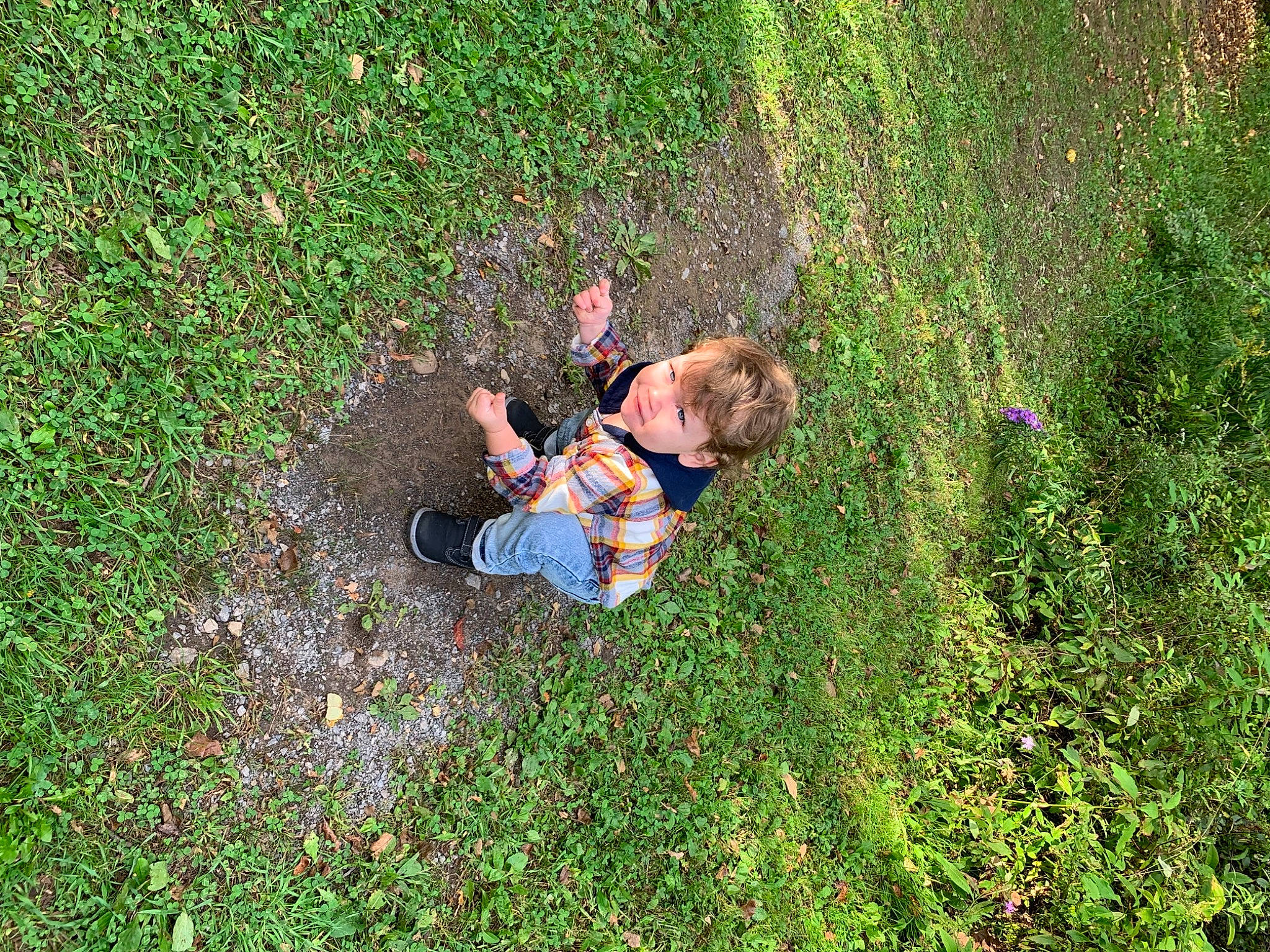 Cayson is registered to the contest to win money with this photo: garden, grass, grass_family, grassland, groundcover, landscape, lawn, leisure, mammal, meadow, people_in_nature, person, plant, plant_community, recreation, shadow, shrub, slope, soil, toddler