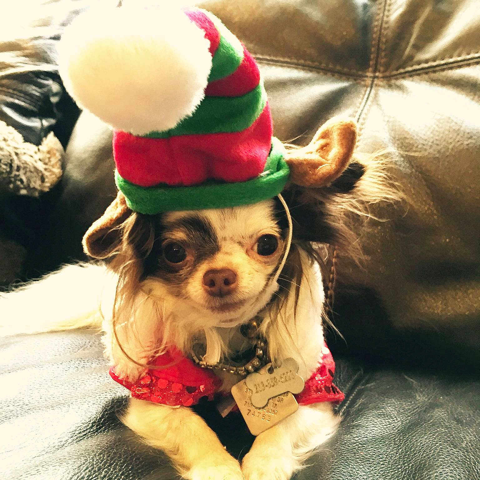 Phantom Aka The Grinch joined the competition — help win amazing prizes!