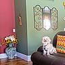dog, pet, small_dog, fluffy, white_fur, sitting, couch, leather, pillow, living_room, mirror, flowers, vase, home_decor, interior, colorful_walls, hardwood_floor, portrait, indoors, cute