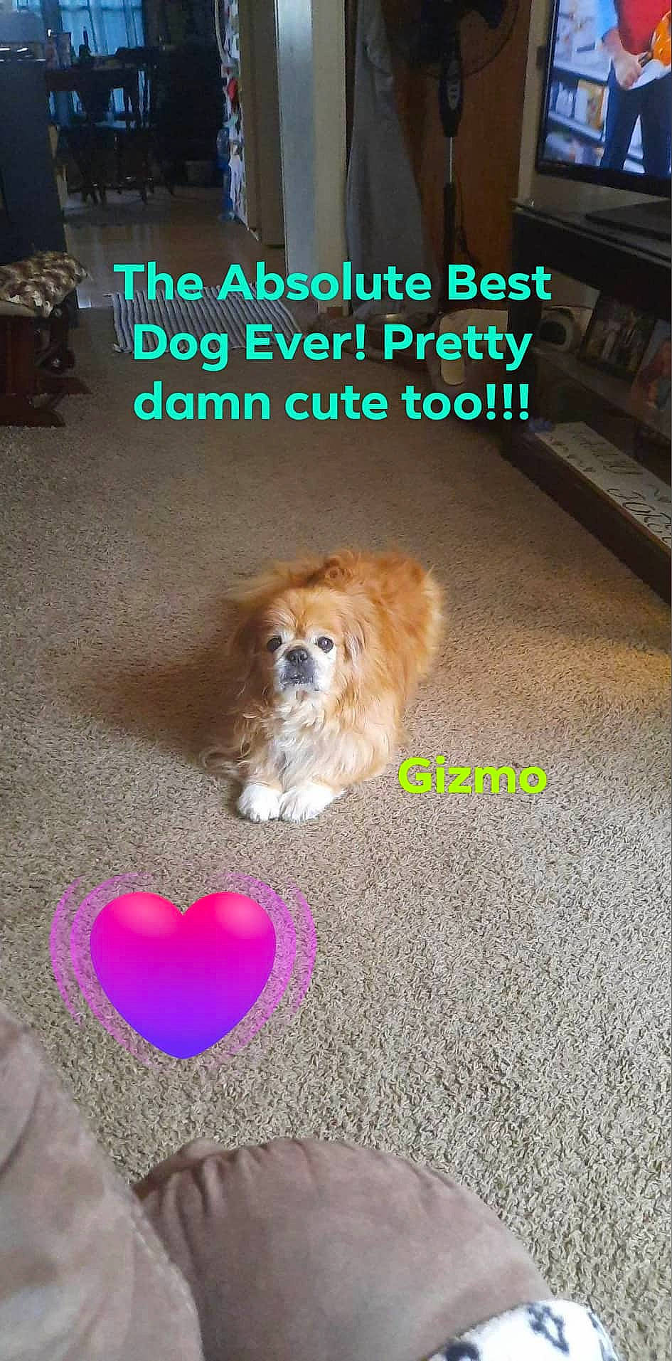 Gizmo