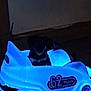 Onyx joined the competition — help win amazing prizes! animal, blue_light, companionship, cute, dark, dog, fun, futuristic, glowing, indoor, leisure, night, pet, play, seat, shadow, small_dog, toy_car, vehicle, wheel