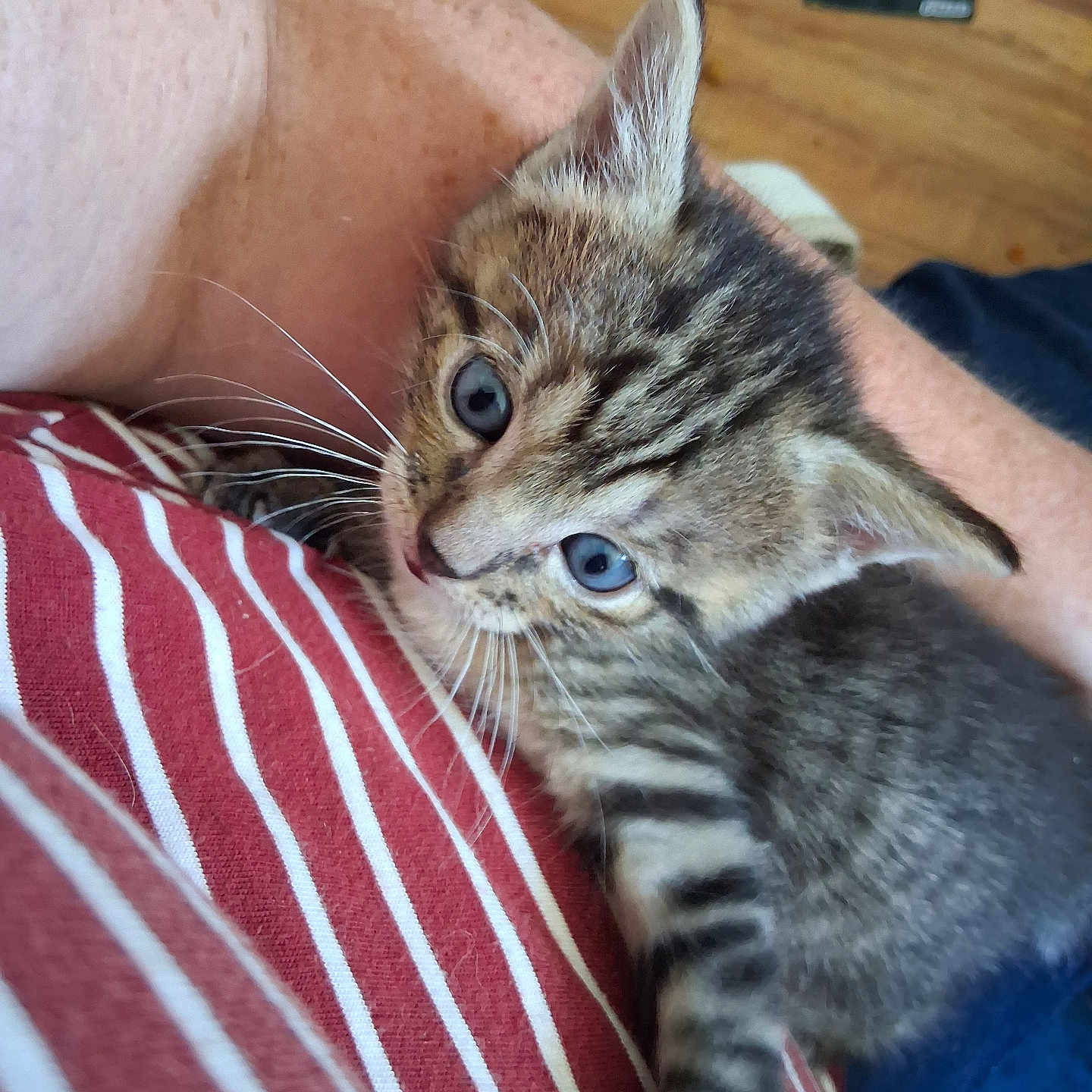Sweetie