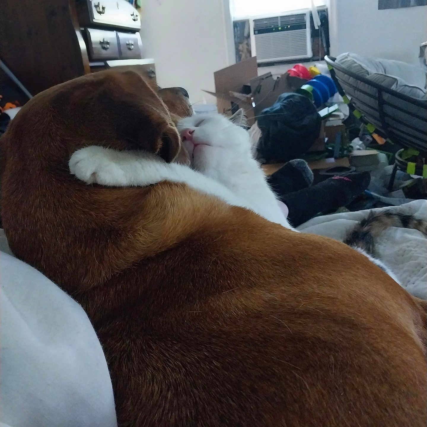 Precious And Buck
