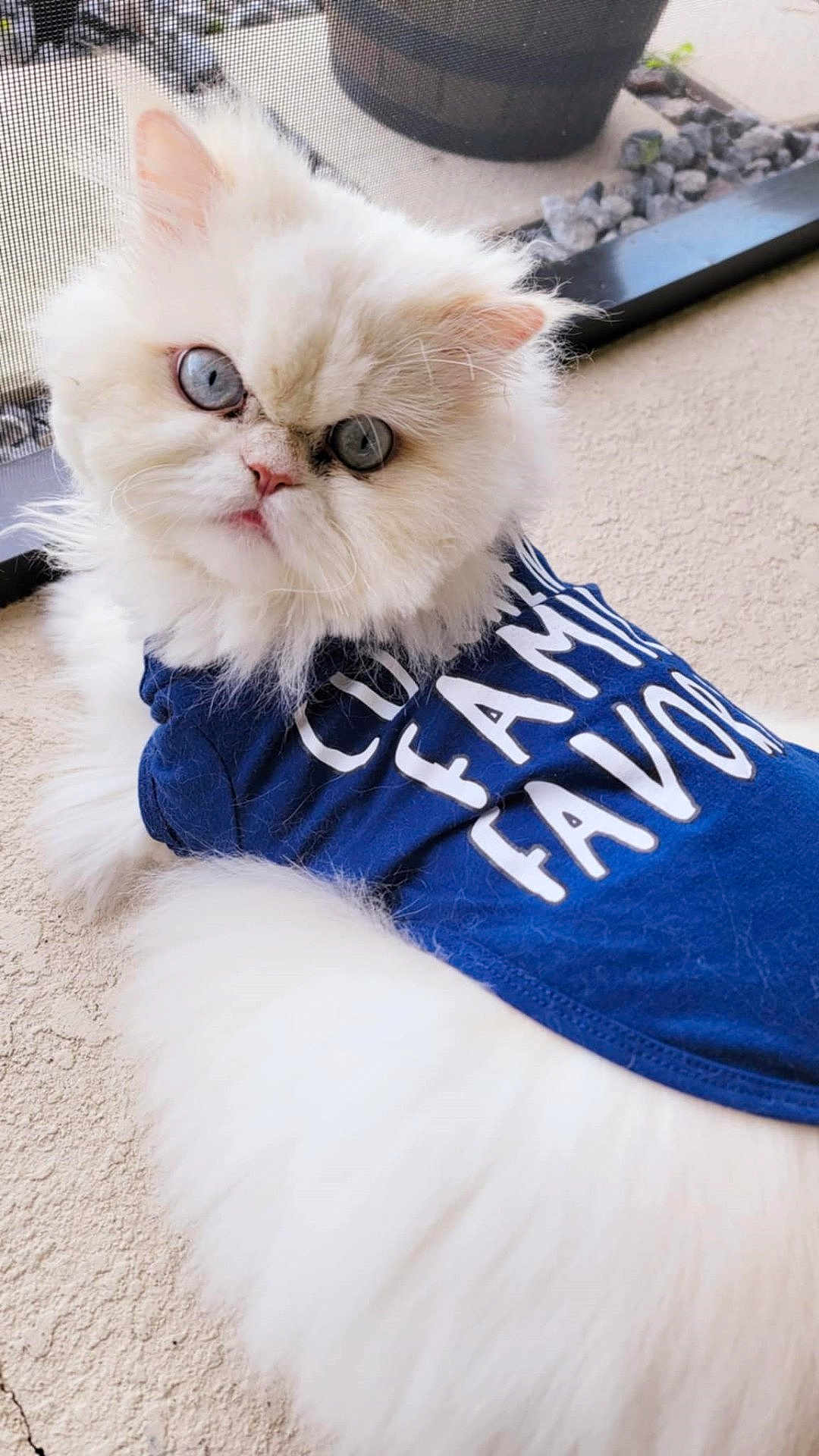 Casper