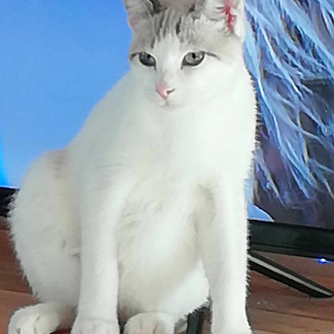 Nuage