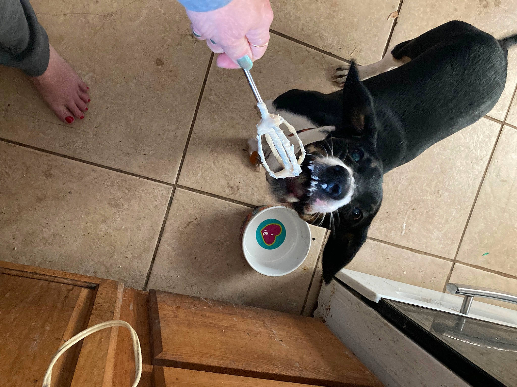 Little Bit is registered to the contest to win money with this photo: aircraft_engine, audio_equipment, auto_part, automotive_tire, automotive_wheel_system, electric_blue, floor, flooring, foot, gas, hardwood, human_leg, machine, mechanical_fan, power_tool, propeller, sneakers, soil, thigh, wood