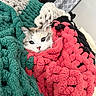 Maple Syrup is registered to the contest to win money with this photo: cat, animal, pet, cozy, blanket, knit, texture, indoor, snug, cute, fur, white, brown, curious, resting, comfort, pile, soft, warm, relaxed