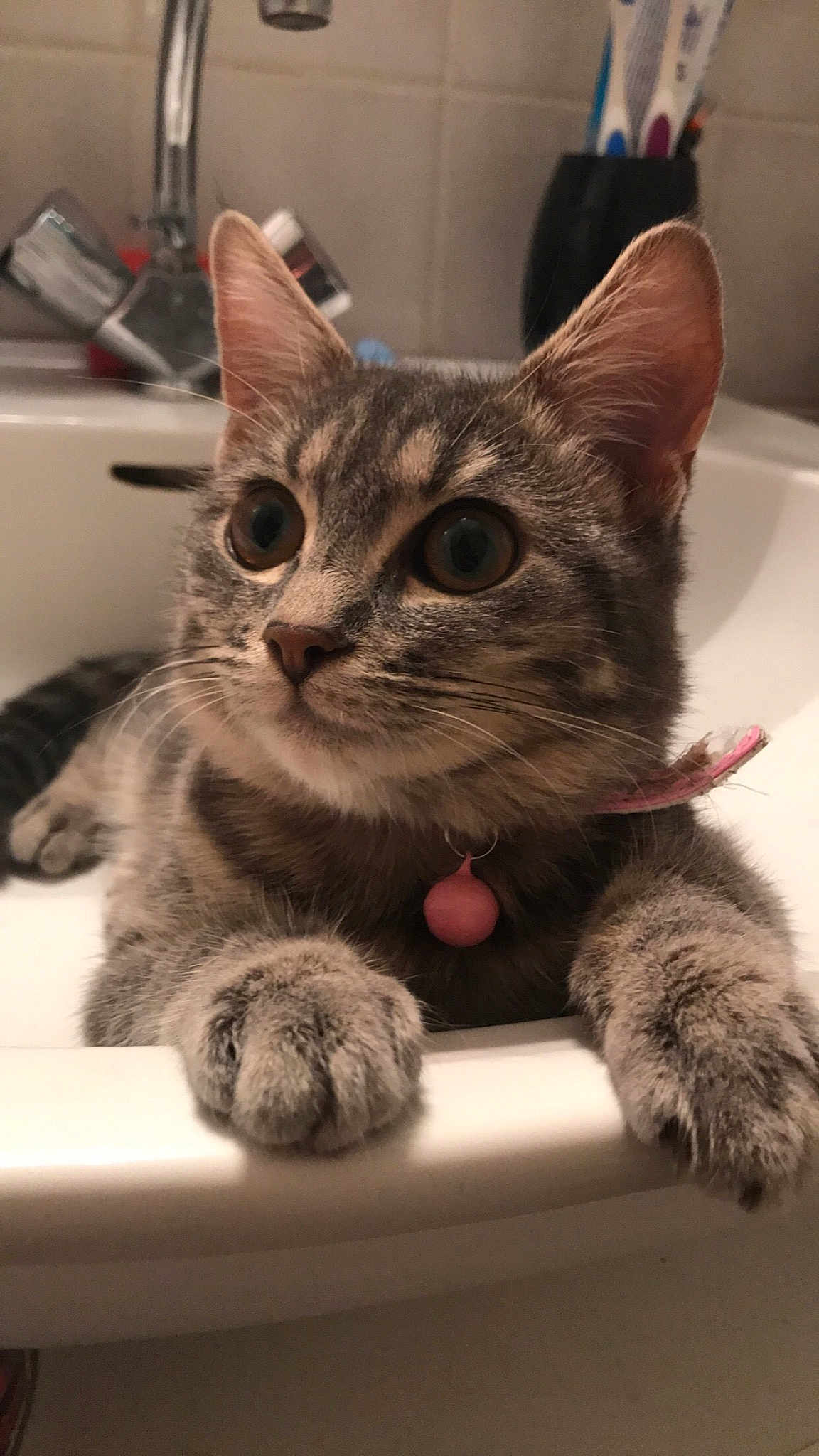 Marley