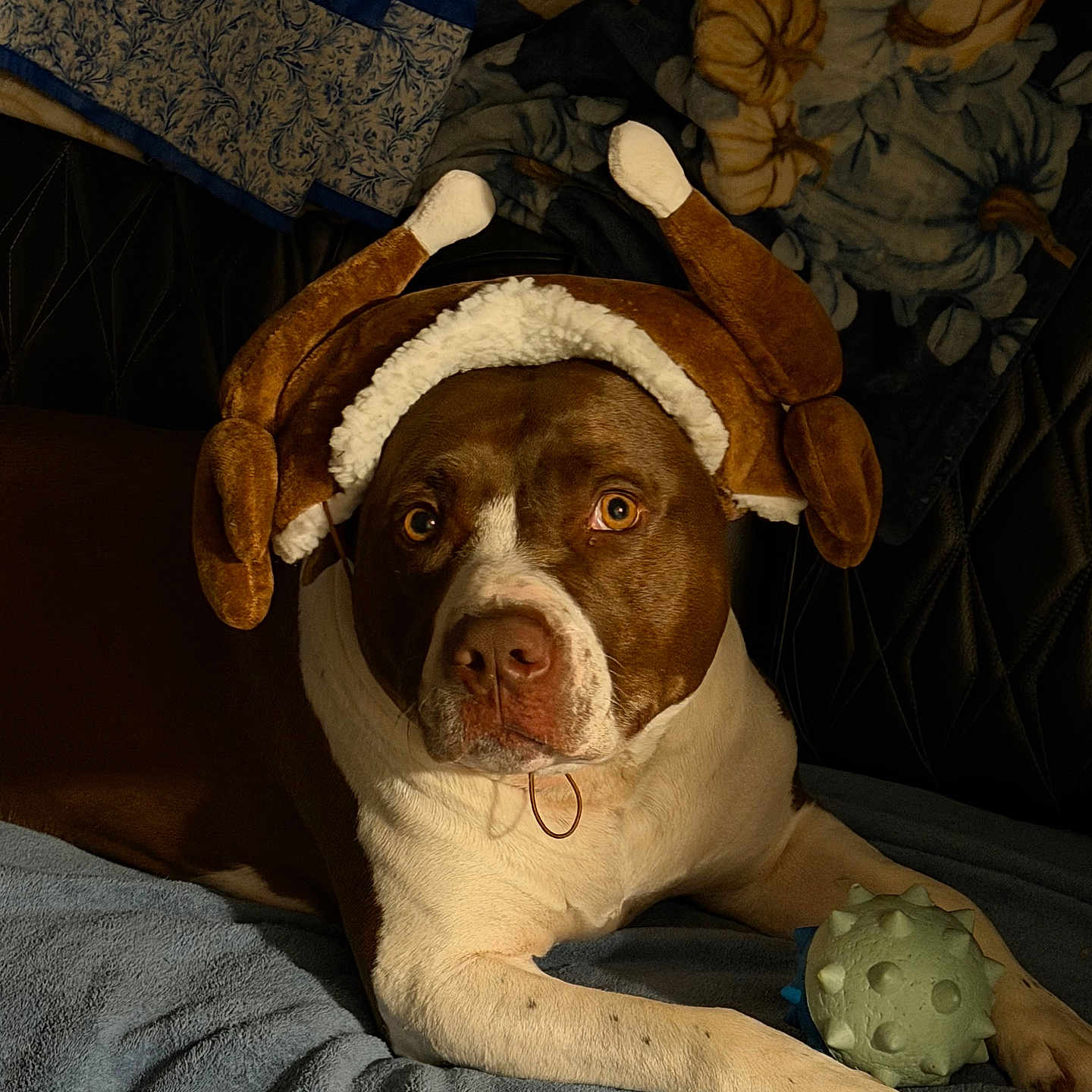 Oscar