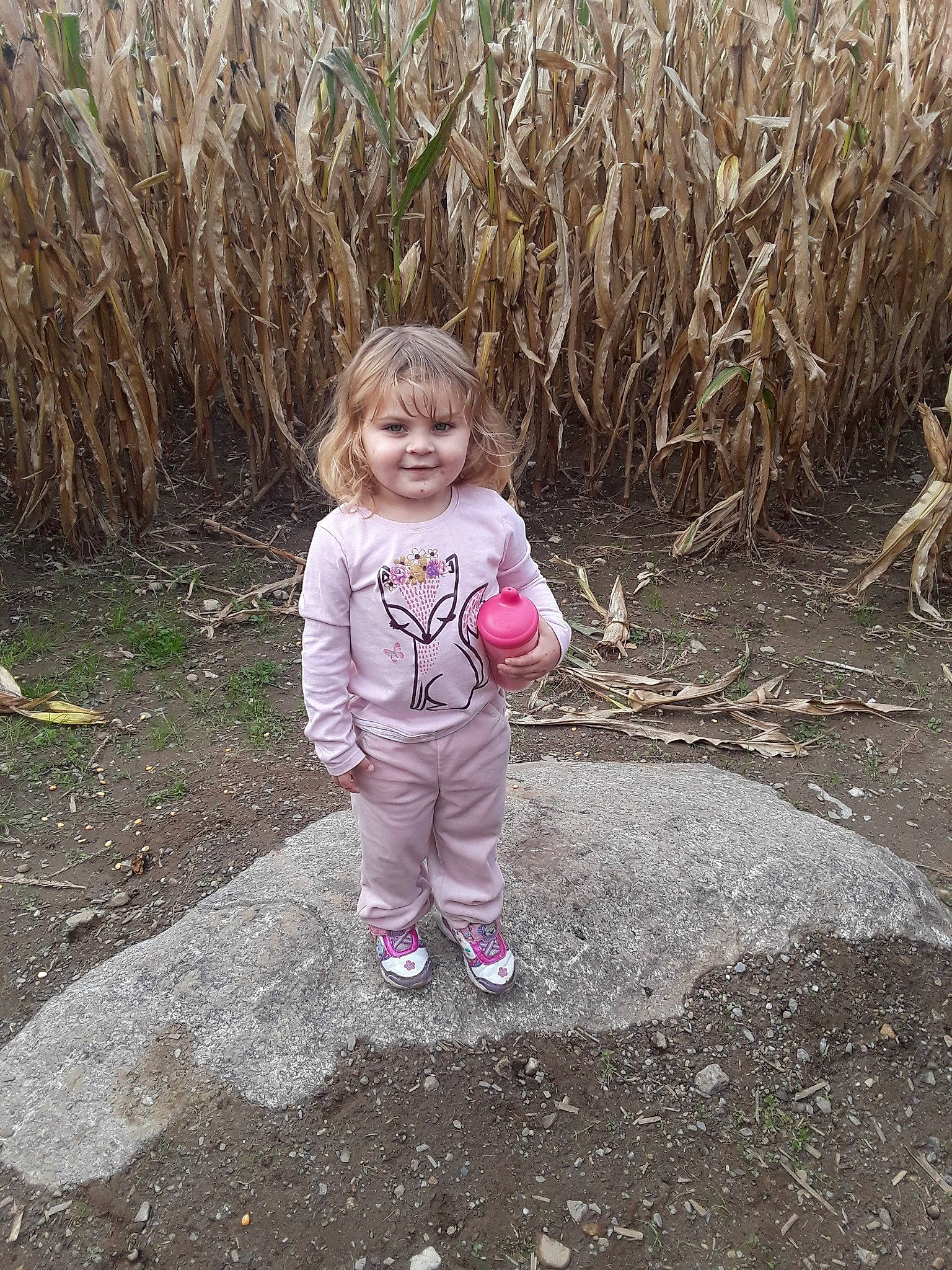 Chloe joined the competition — help win amazing prizes! child, fun, girl, grass, grass_family, joy, person, plant, recreation, soil, toddler, tree, vacation