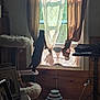 Ceecee joined the competition — help win amazing prizes! cat, cat_toys, cat_tree, cord, cozy, curious, curious_cat, curtains, fan, floor, framed_photos, furniture, home, indoor, pet, stretching, sunlight, table, window, wood_paneling