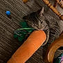 animal, blue_ball, carpet, carrot_toy, cat, cute, feline, floor, fun, household, indoor, paws, pet, pet_toy, playful, plush, tabby, toy, whiskers, wooden_chair
