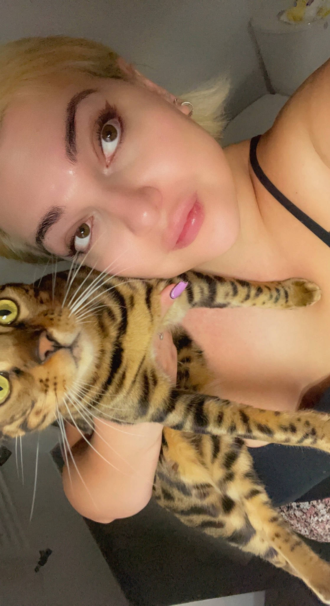 Tiny participe au concours pour gagner de l'argent avec cette photo : arm, cat, chin, ear, eye, eyebrow, eyelash, face, hairstyle, hand, head, human_body, jaw, mouth, muscle, neck, nose, organ, skin, vertebrate