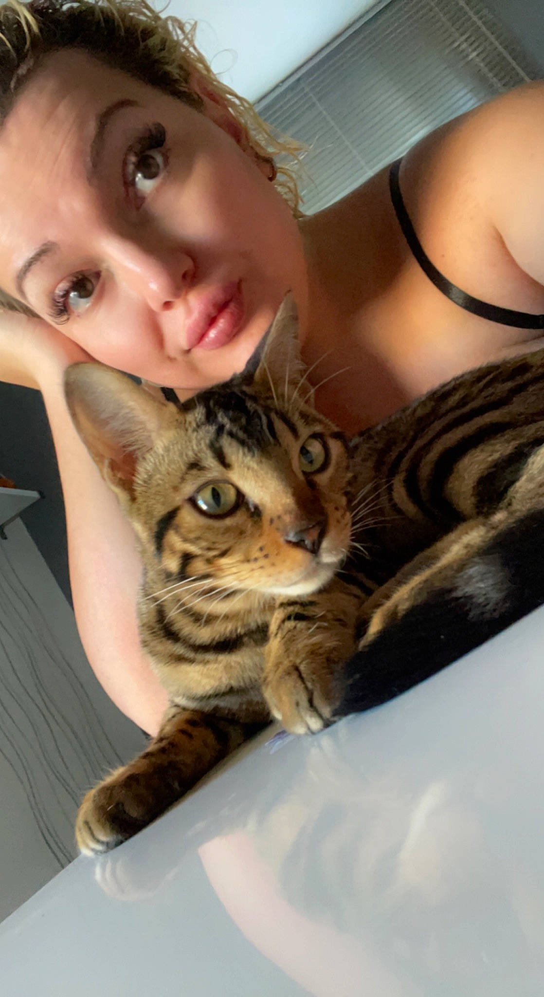 Tiny participe au concours pour gagner de l'argent avec cette photo : carnivore, cat, comfort, domestic_short_haired_cat, eye, fawn, felidae, fur, gesture, hair, head, nose, paw, selfie, sitting, skin, small_to_medium_sized_cats, smile, snout, whiskers