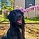 Valso