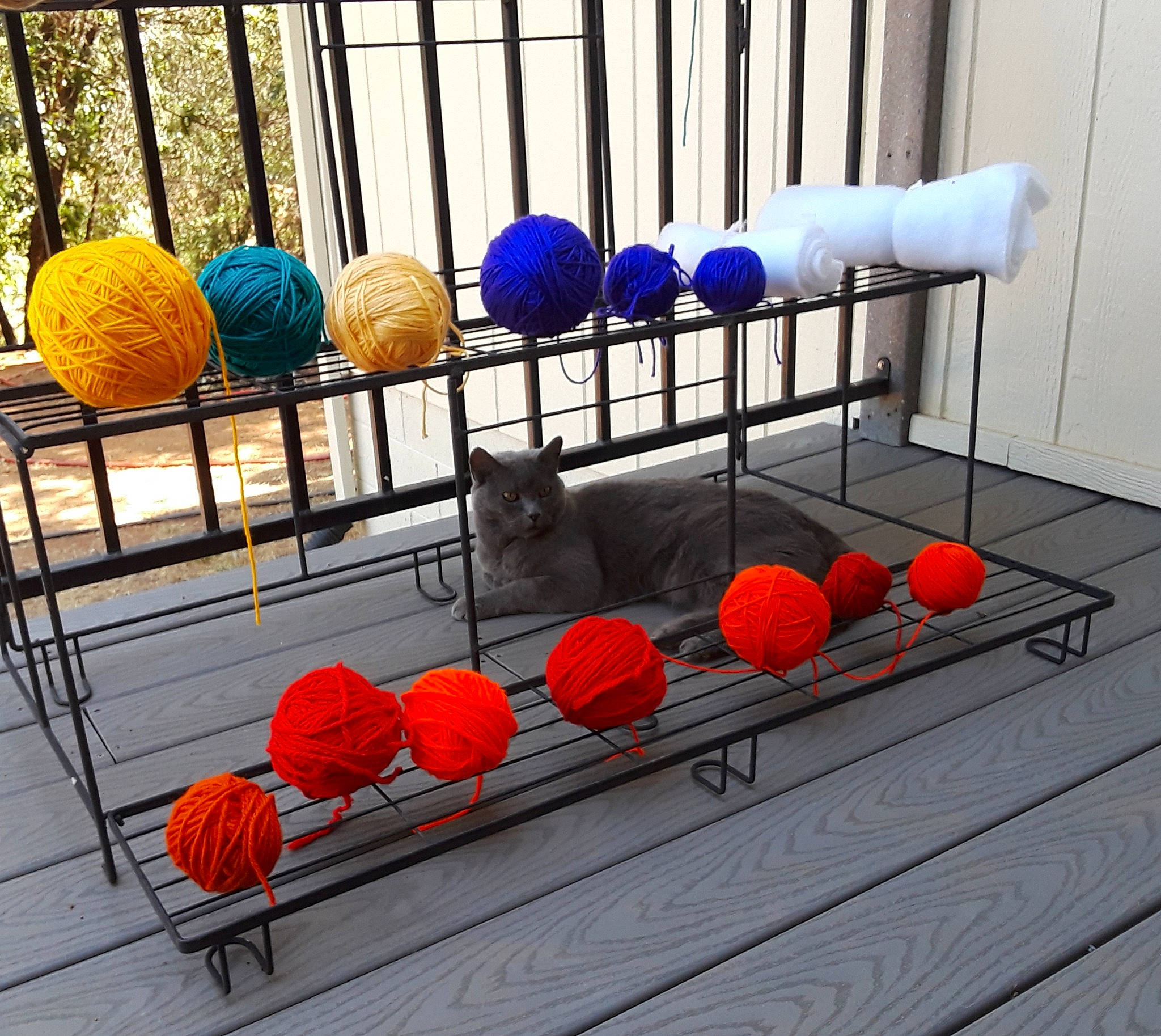 Teddy Bear joined the competition — help win amazing prizes! ball, furniture, interior_design, iron, metal, orange, table