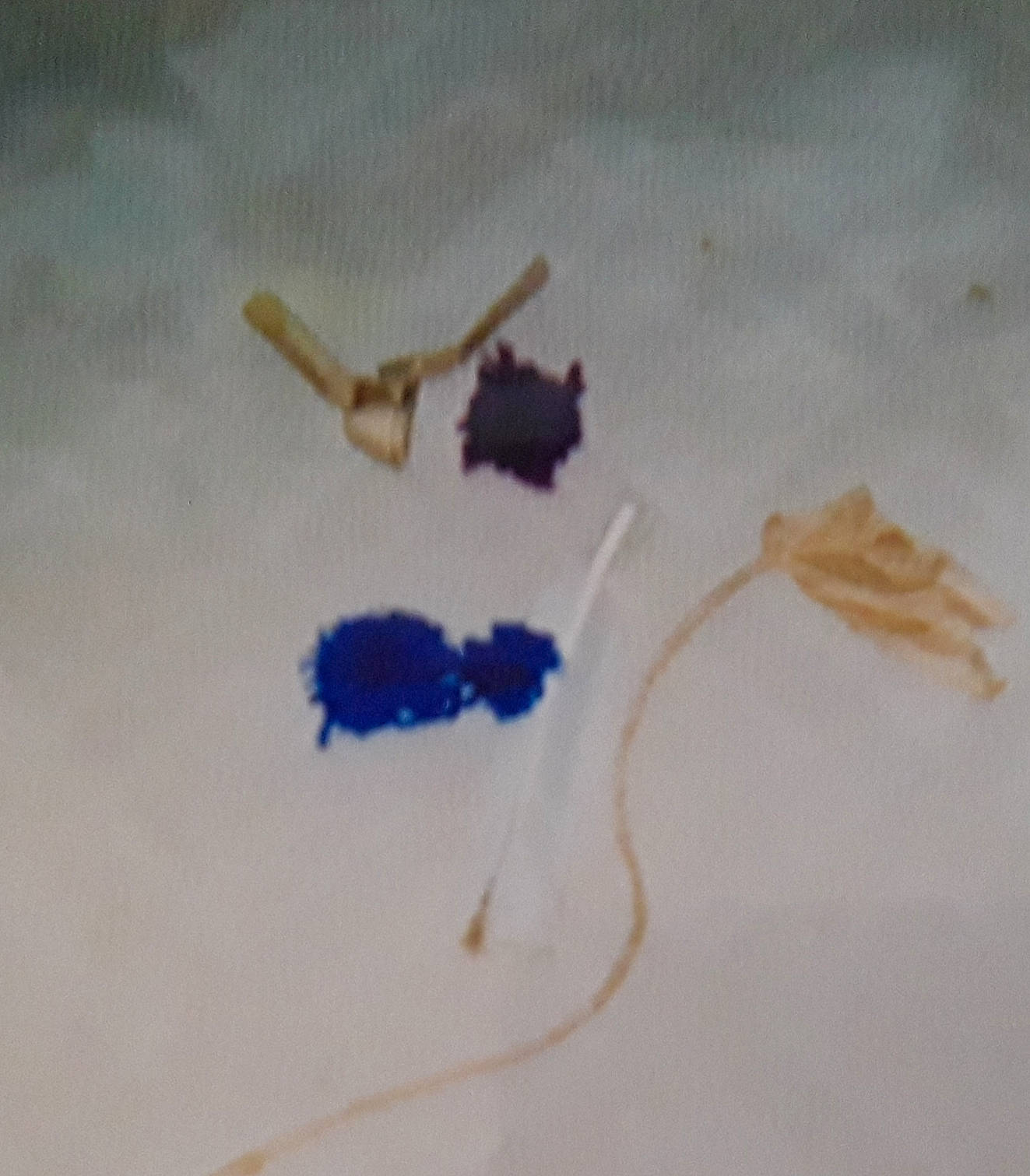 Toonz is registered to the contest to win money with this photo: art, drawing, finger, ink, stain, stitch, visual_arts