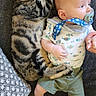 Frank joined the competition — help win amazing prizes! baby, cat, sofa, pacifier, child, tabby_cat, couch, indoor, relaxed, cute, pet, animal, infant, clothing, pattern, furniture, resting, comfort, hand, floor