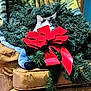blanket, cat, comfort, couch, cozy, decor, domestic_animal, feline, fur, greenery, holiday, home, indoor, patterned_fabric, pets, red_bow, relaxing, resting, seasonal, wreath