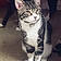 Sebastion