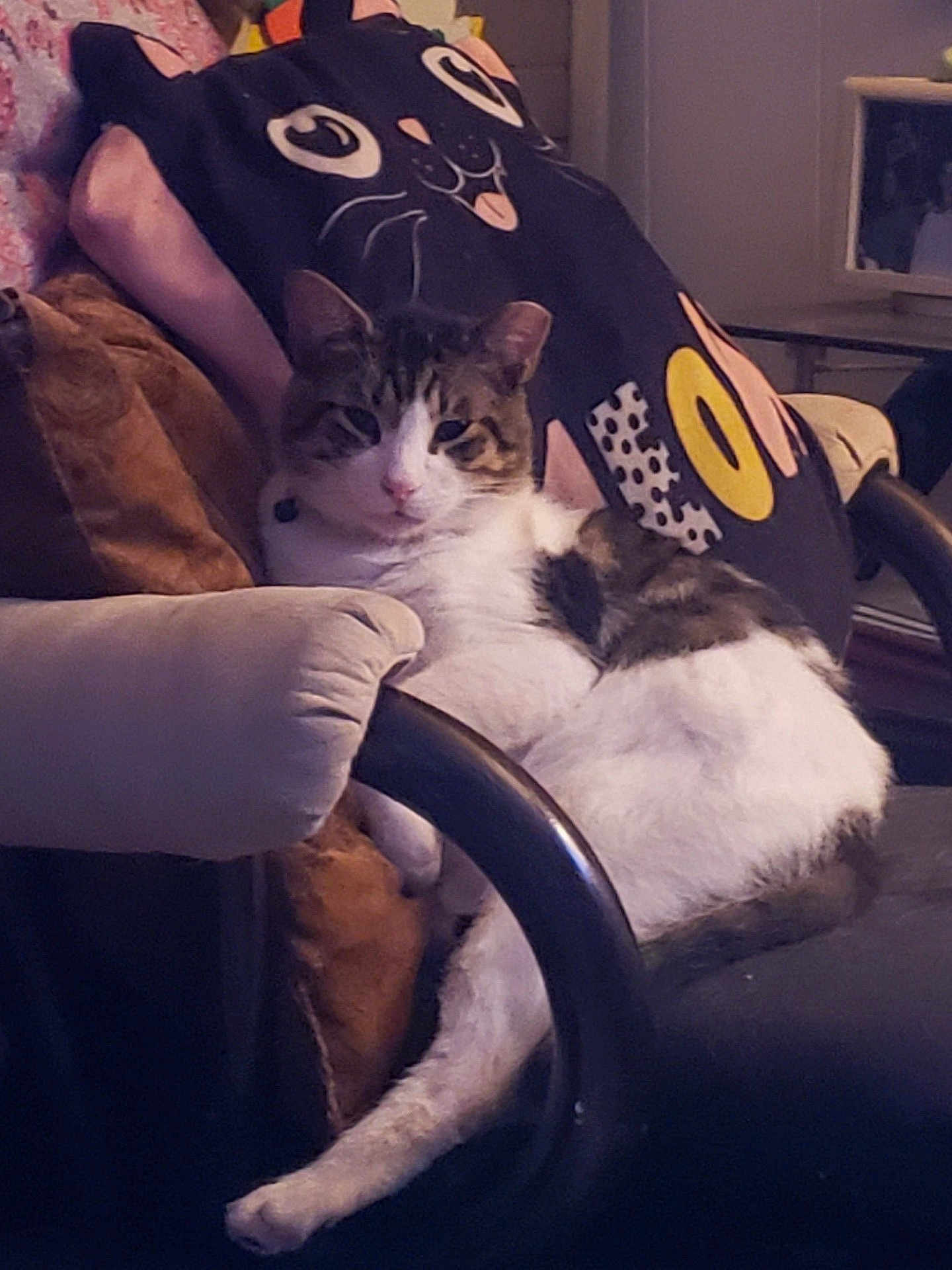 Toby