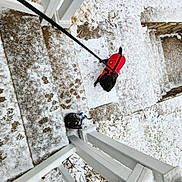 Buddy joined the competition — help win amazing prizes! architecture, ceiling, climbing, climbing_harness, concrete, facade, flooring, line, monochrome_photography, plant, recreation, rock_climbing_equipment, roof, shadow, slope, sport_climbing, stairs, tree, wall, wood